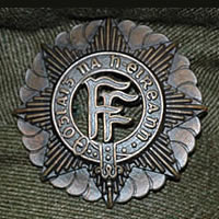 Irish Defence Forces Badge