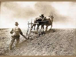 Ploughing The Land